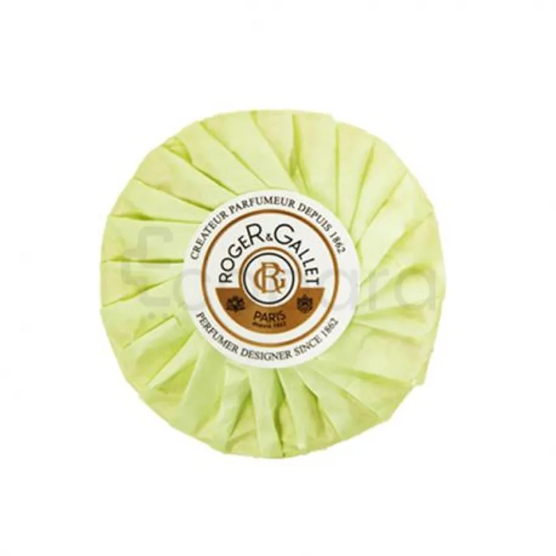 ROGER ET GALLET FOUGERE SAVON BOITE DE VOYAGE 100G