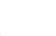 GANTS JETABLES BOITE DE 100