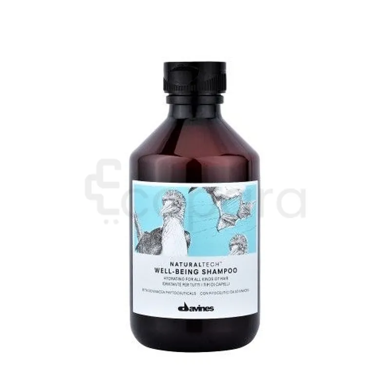 DAVINES WELL BEING SHAMPOO SHAMPOOING 250ML