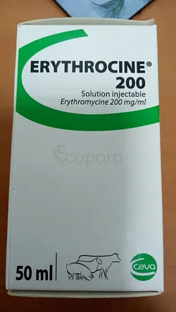 ERYTHROCINE 200 50ML SOLUTION INJECTABLE