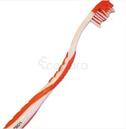 FORTUNA BROSSE A DENTS ROUGE ET BLANCHE