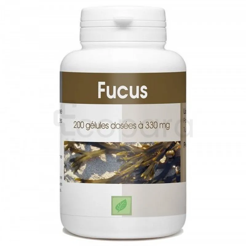 GPH ALGUE FUCUS 330MG BOITE DE 200 GELULES