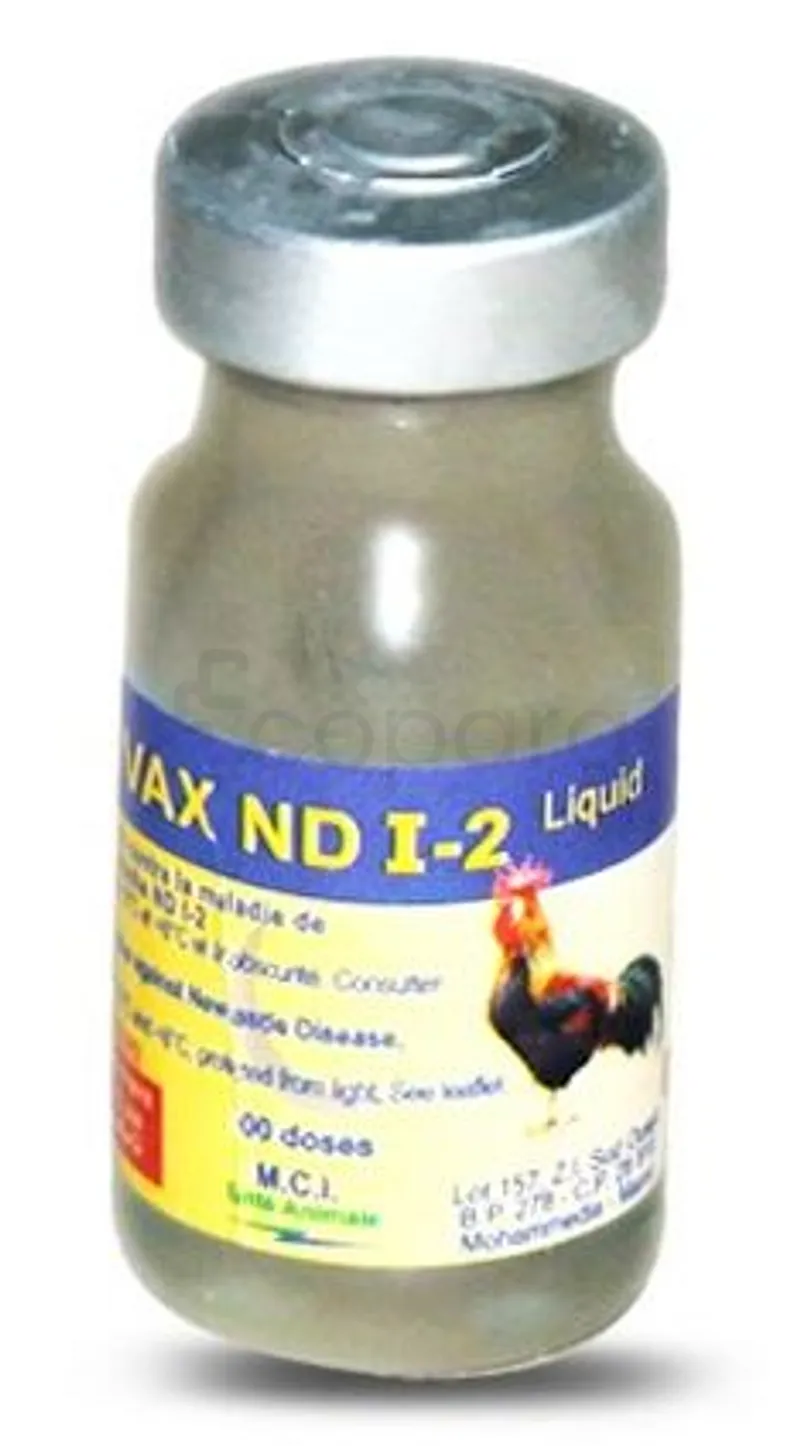 AVIVAX ND I-2 100 DOSES LIQUIDE