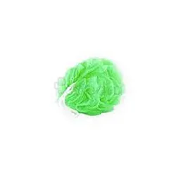 LES PETITS BAINS DE PROVENCE FLEUR DE DOUCHE VERTE