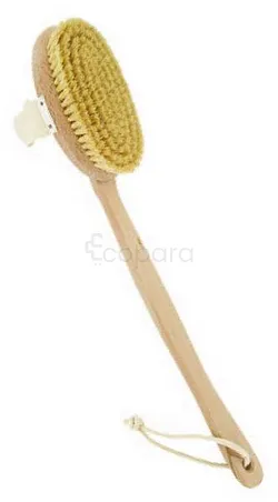 FORSTERS BROSSE DE MASSAGE BOIS DE HETRE REFERENCE 12202