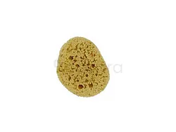 FORSTERS EPONGE NATURELLE CARAIBES TAILLE L REFERENCE 15114