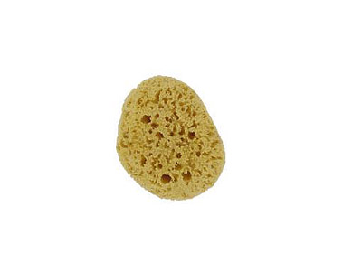 FORSTERS EPONGE NATURELLE CARAIBES TAILLE L REFERENCE 15114