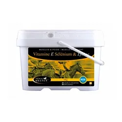 VITAMINE E SELENIUM & LYSINE 1KG