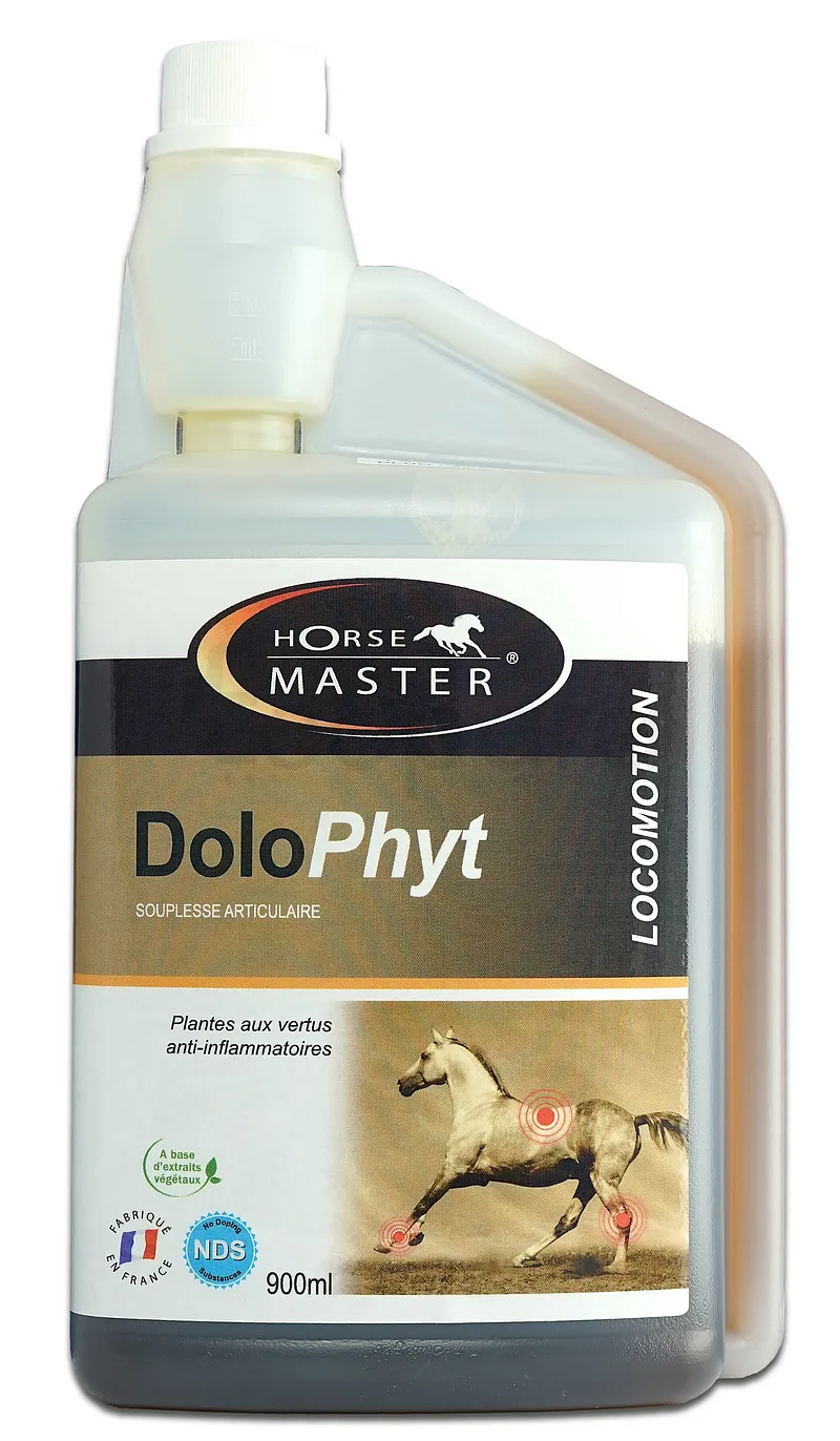 HORSE MASTER DOLO PHYT 900ML