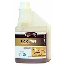 HORSE MASTER DOLO PHYT 450ML
