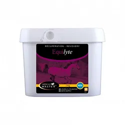 HORSE MASTER EQUILYTE 2KG