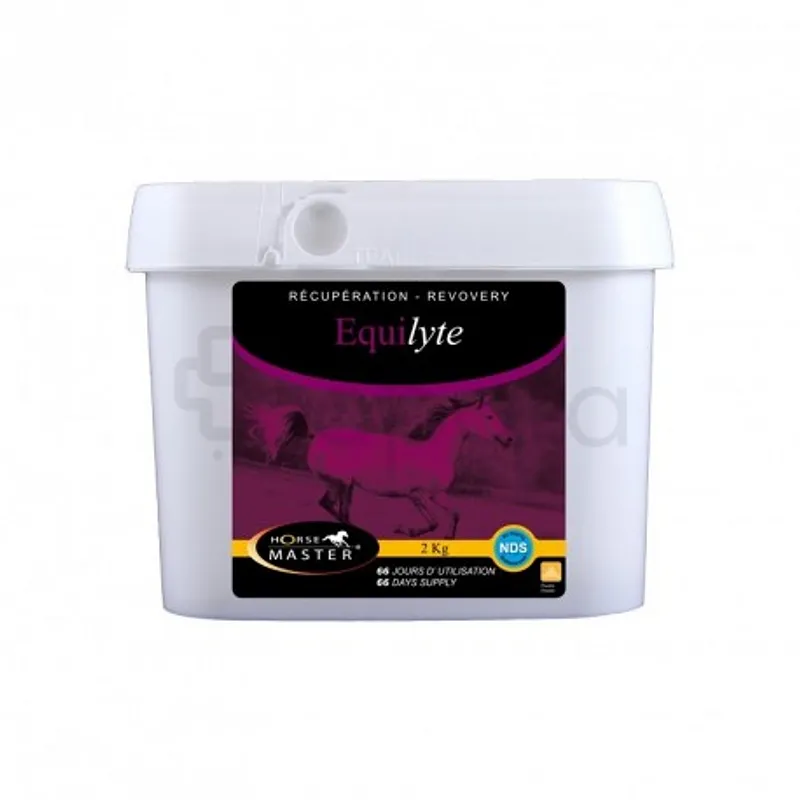 HORSE MASTER EQUILYTE 2KG