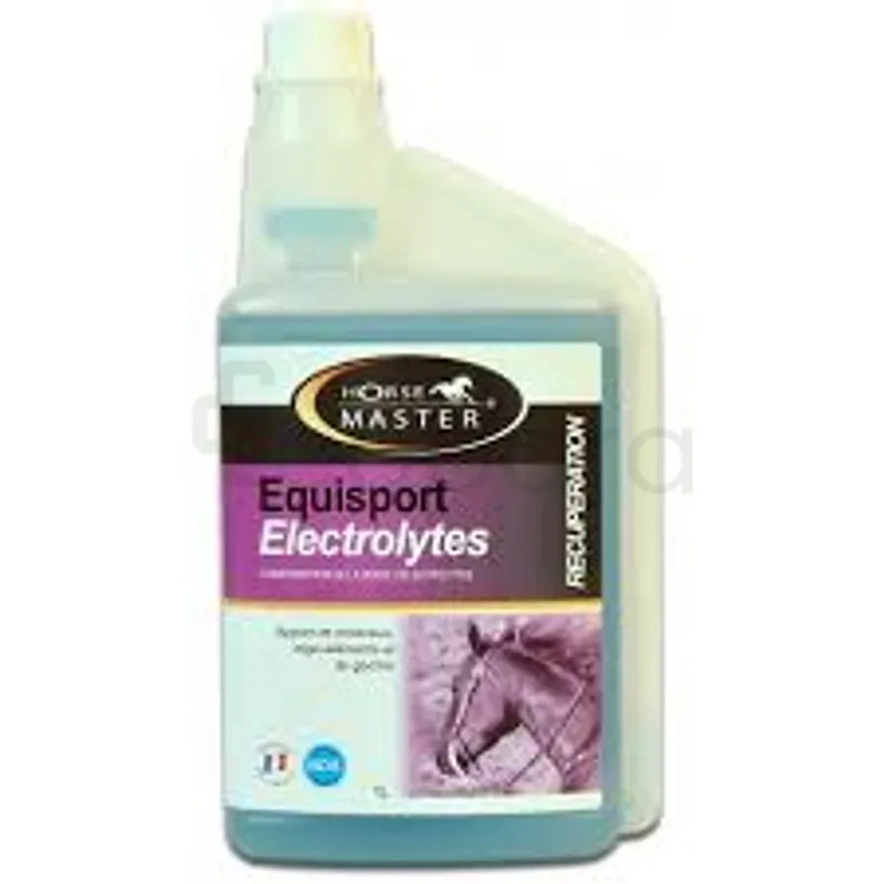 HORSE MASTER EQUISPORT ELECTROLYTES 1L