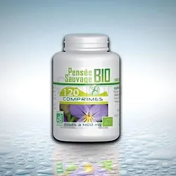 GPH PENSEE SAUVAGE 400MG BOITE DE 120 GELULES