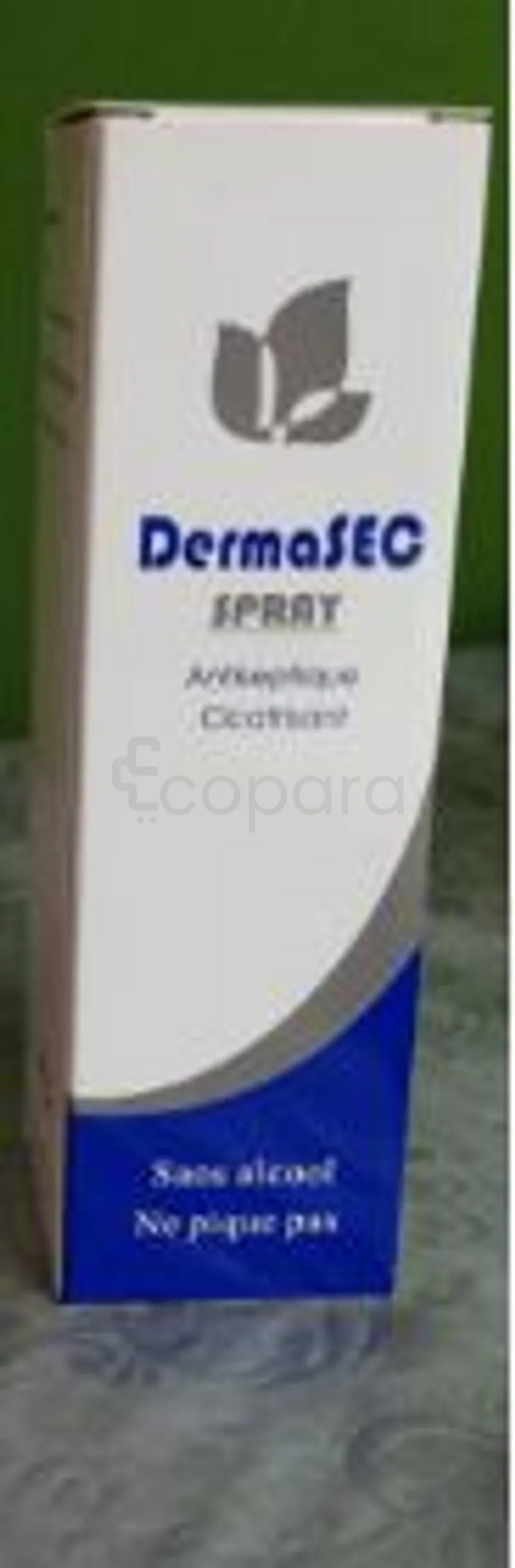 DERMA SEC SPRAY ANTISEPTIQUE CICATRISANT