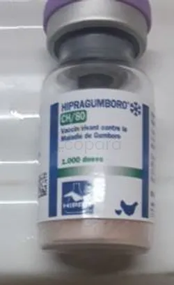 HIPRAGUMBORO CH/80 1000 DOSES