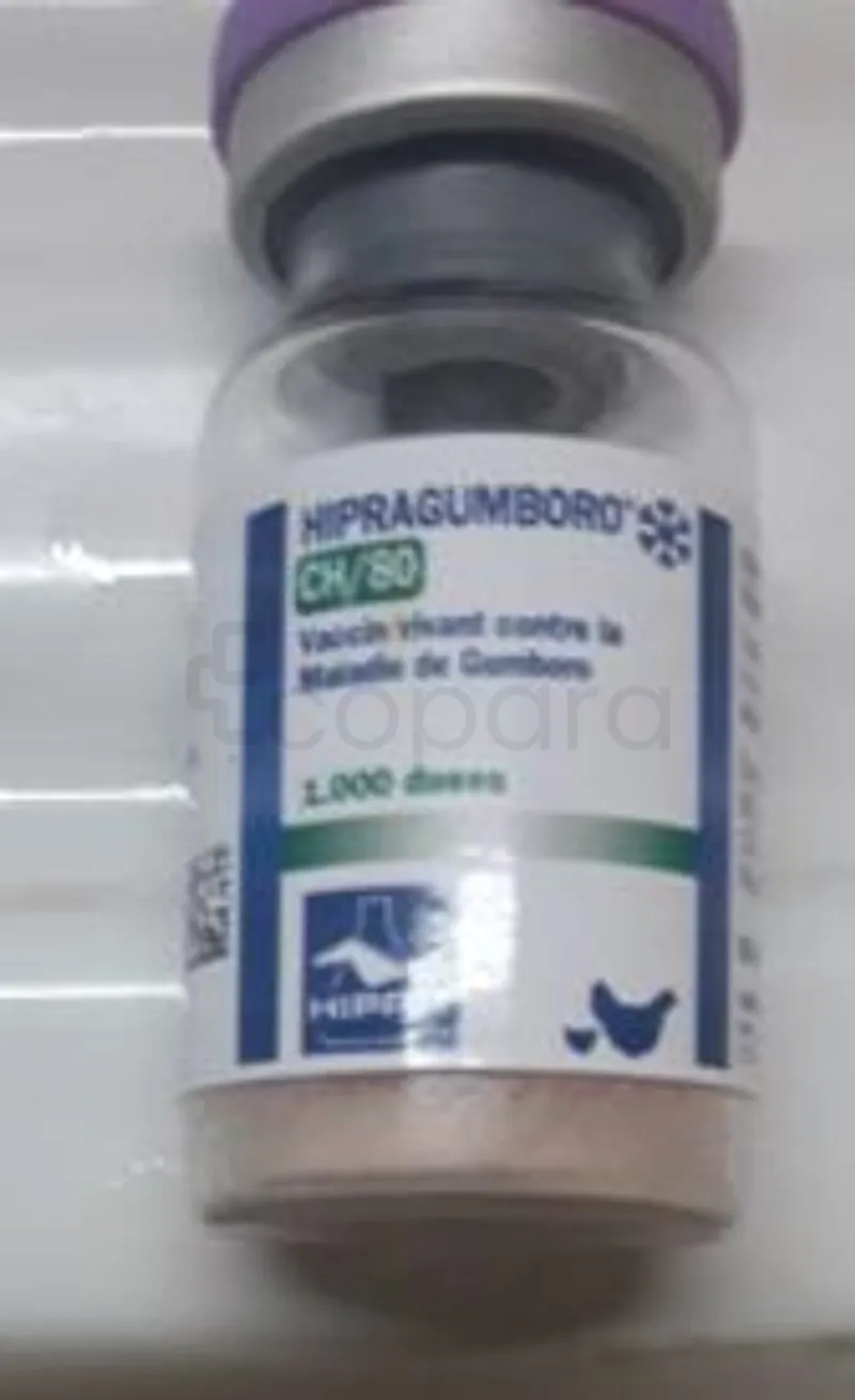 HIPRAGUMBORO CH/80 1000 DOSES