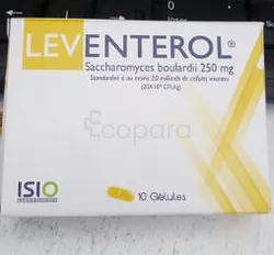 LEVENTEROL 250MG BOITE DE 10 GELULES