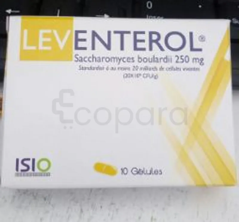 LEVENTEROL 250MG BOITE DE 10 GELULES