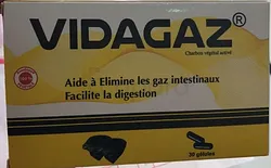 VIDAGAZ BOITE DE 30 GELULES