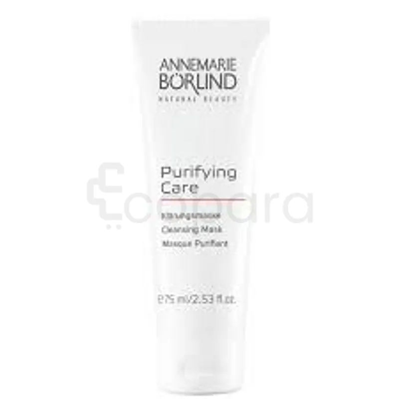 ANNEMARIE BORLIND PURIFING CARE MASQUE PURIFIANT 75ML