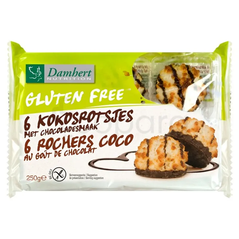 DAMHERT ROCHERS COCO AU GOUT CHOCOLAT BOITE DE 6 250G