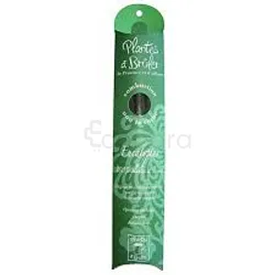 CIEL D'AZUR PLANTES A BRULER BATONS EUCALYPTUS BOITE DE 10