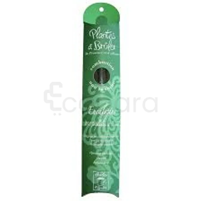 CIEL D'AZUR PLANTES A BRULER BATONS EUCALYPTUS BOITE DE 10