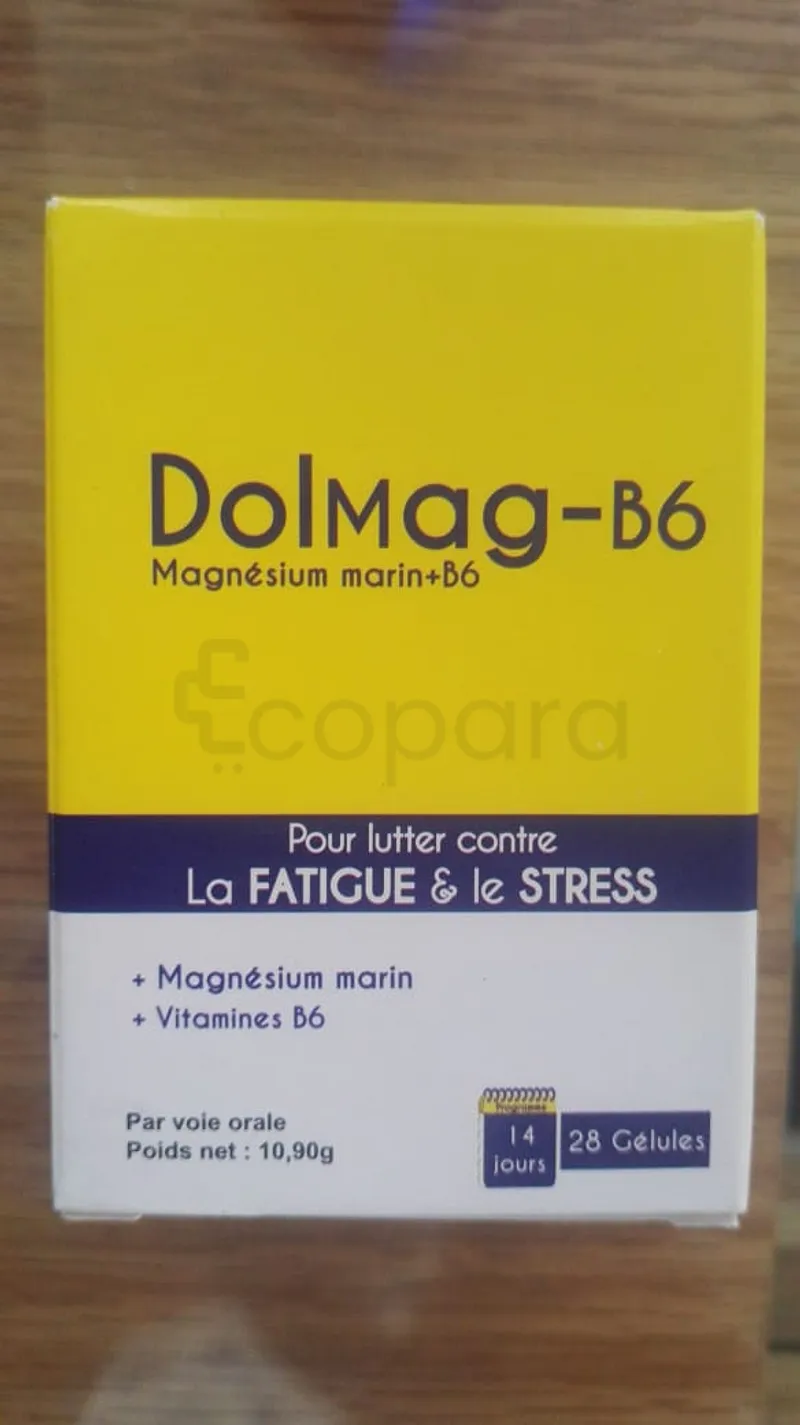 DOLMAG-B6 BOITE DE 28 GELULES