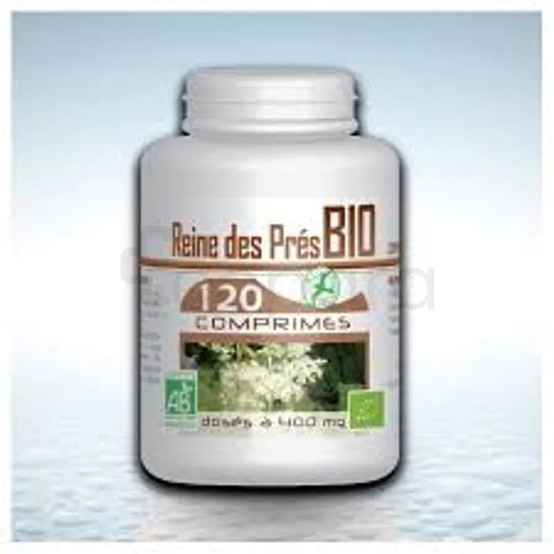 GPH REINE DES PRES BIO 400MG BOITE DE 120 COMPRIMES
