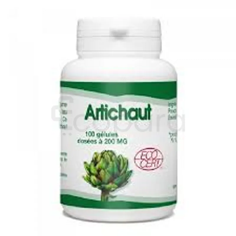 GPH ARTICHAUT 200MG BOITE DE 100 GELULES