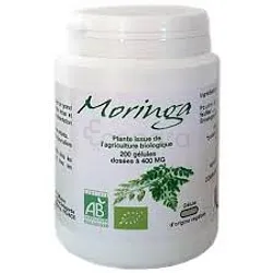 GPH MORINGA 400MG BOITE DE 200 GELULES
