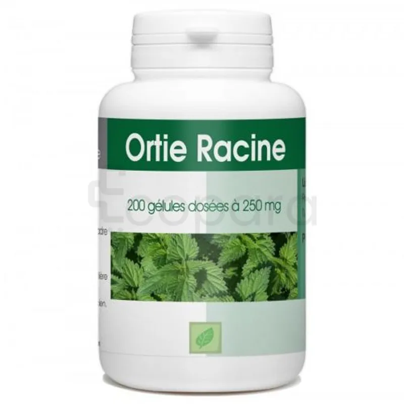 GPH ORTIE RACINE 250MG BOITE DE 200 GELULES