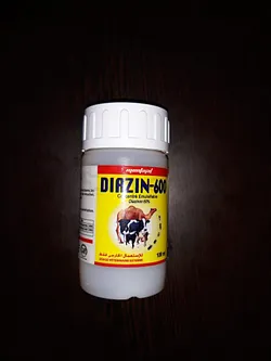 DIAZIN-600 100ML