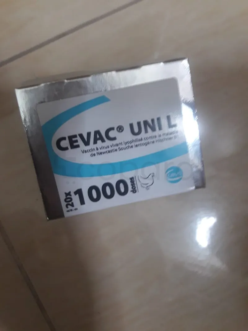 CEVAC UNIL 1000 DOSES