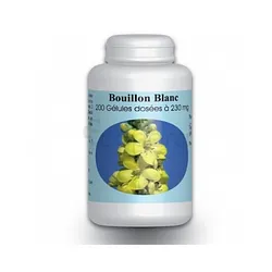 GPH BOUILLON BLANC 300MG BOITE DE 100 GELULES