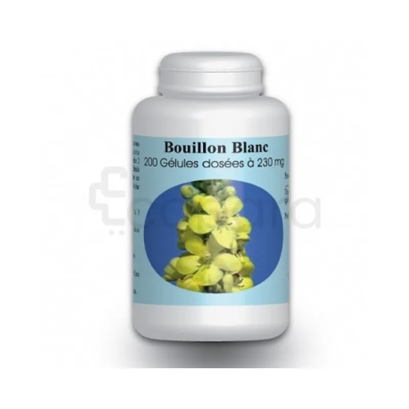 GPH BOUILLON BLANC 300MG BOITE DE 100 GELULES