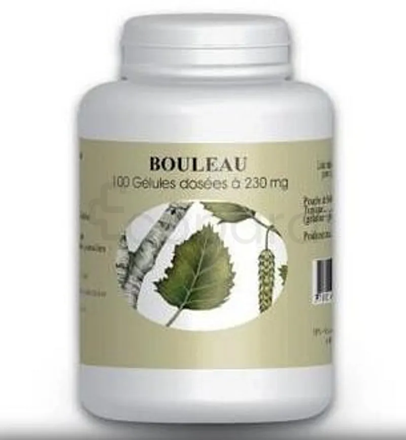 GPH BOULEAU 230MG BOITE DE 100 GELULES