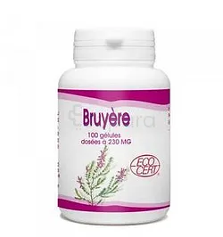 GPH BRUYERE 230MG BOITE DE 100 GELULES