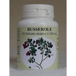 GPH BUSSEROLE 250MG BOITE DE 100 GELULES