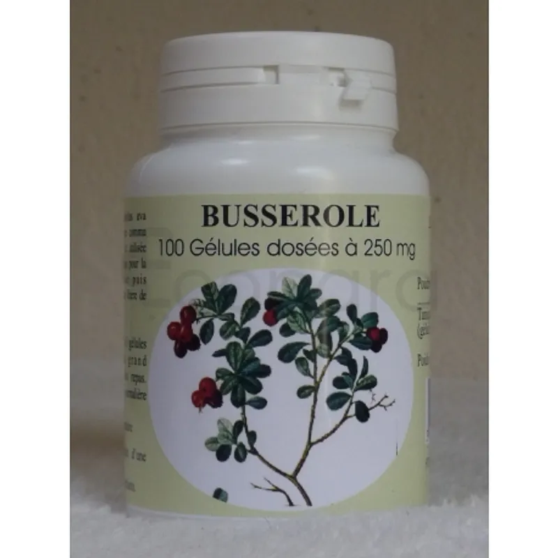 GPH BUSSEROLE 250MG BOITE DE 100 GELULES