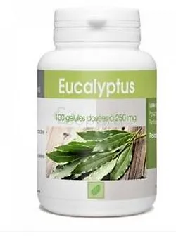 GPH EUCALYPTUS 250MG BOITE DE 100 GELULES