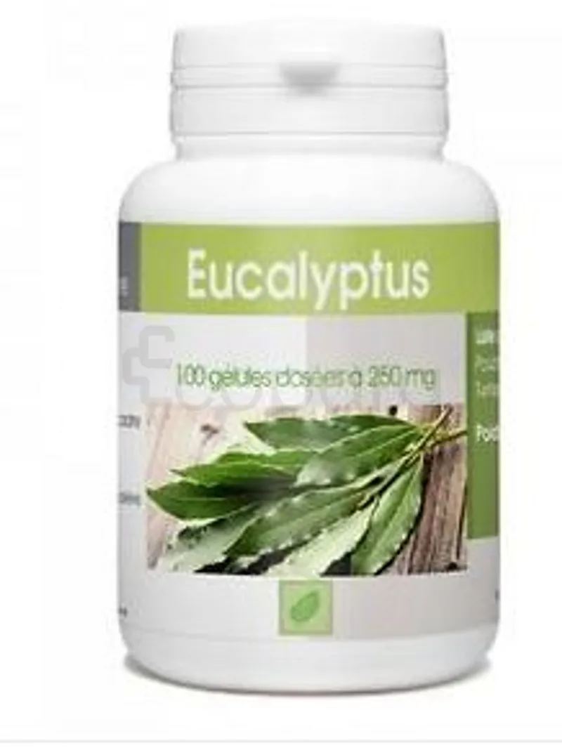 GPH EUCALYPTUS 250MG BOITE DE 100 GELULES