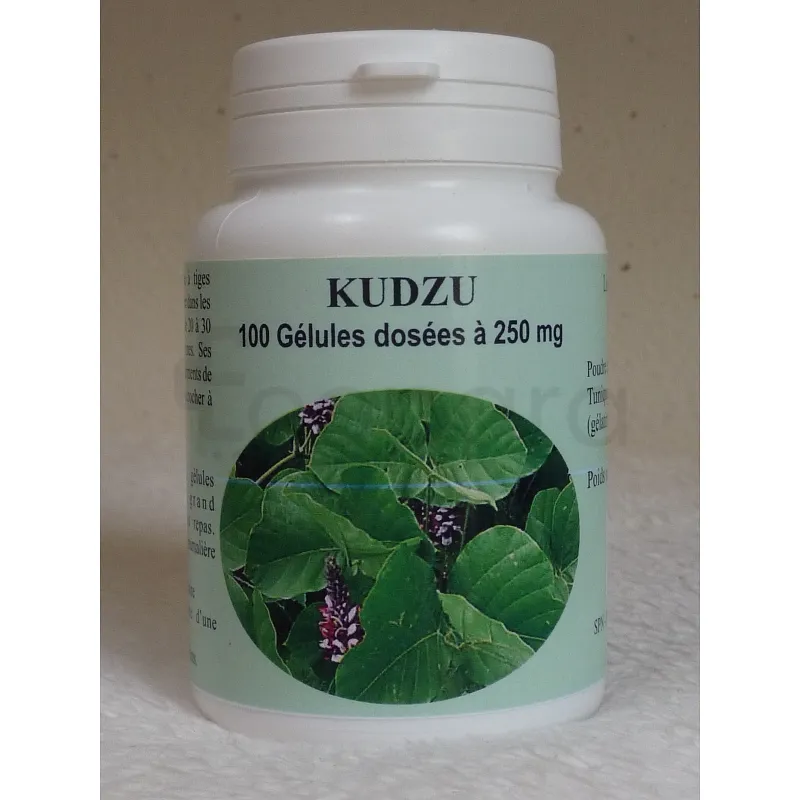 GPH KUDZU 250MG BOITE DE 100 GELULES