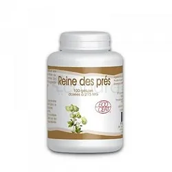 GPH REINE DES PRES 250MG BOITE DE 100 GELULES