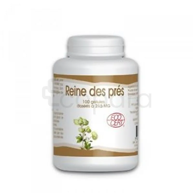 GPH REINE DES PRES 250MG BOITE DE 100 GELULES