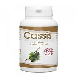GPH CASSIS 250MG BOITE DE 100 GELULES