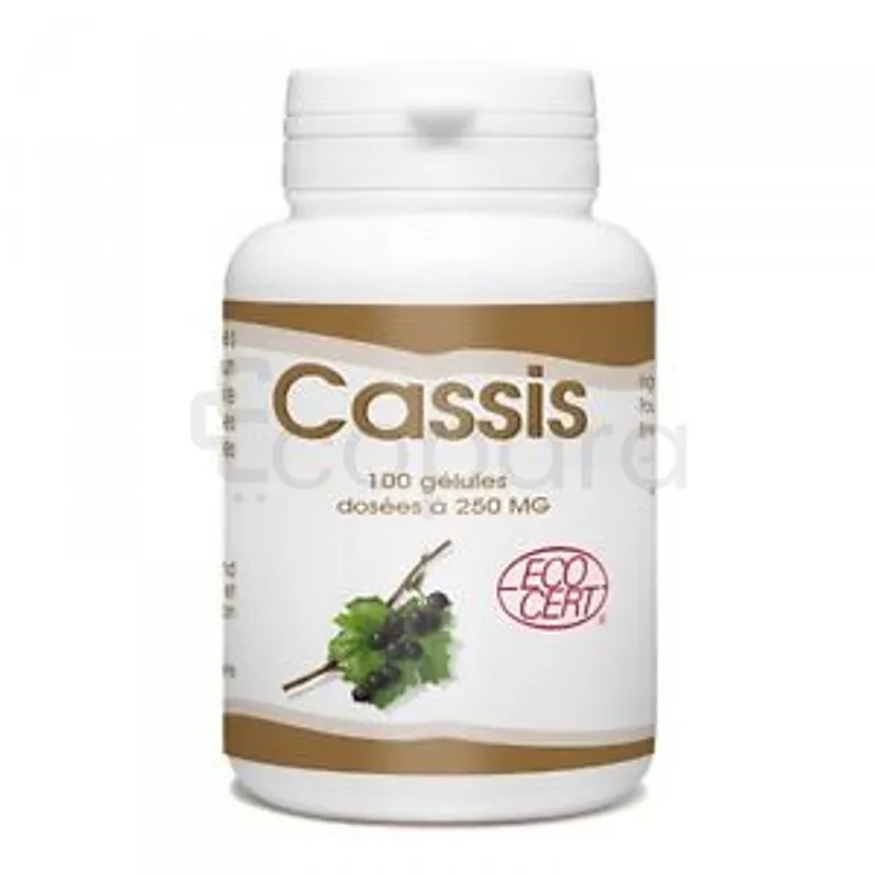GPH CASSIS 250MG BOITE DE 100 GELULES