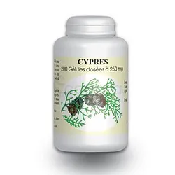 GPH CYPRES 250MG BOITE DE 100 GELULES