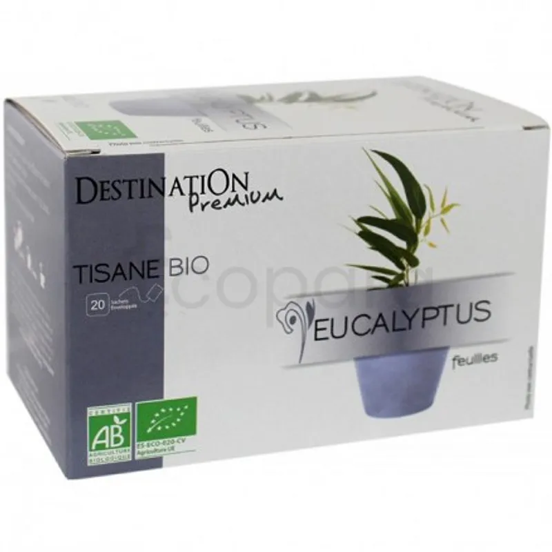 DESTINATION PRENIUM TISANE BIO EUCALYPTUS BOITE DE 20 SACHETS